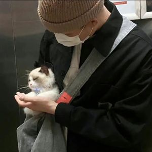 麻豆口交xxxx按摩
