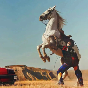 麻豆口交xxxx按摩
