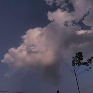 麻豆口交xxxx按摩
